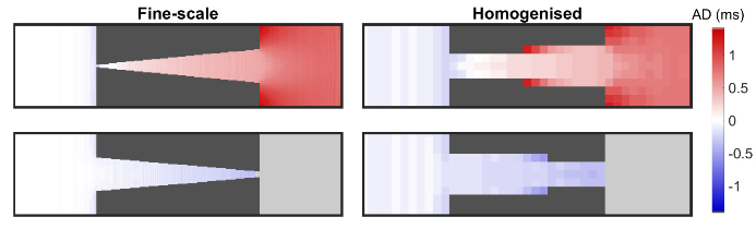 In a model of the electrical waves that trigger the heartbeat, the activation delay (AD) caused by a fine-scale funnel-shaped blockage is recovered by a homogenised model. Potentially arrhythmia-triggering events of one-way conduction block (grey) are also correctly predicted, despite the loss of fine-scale shape information.